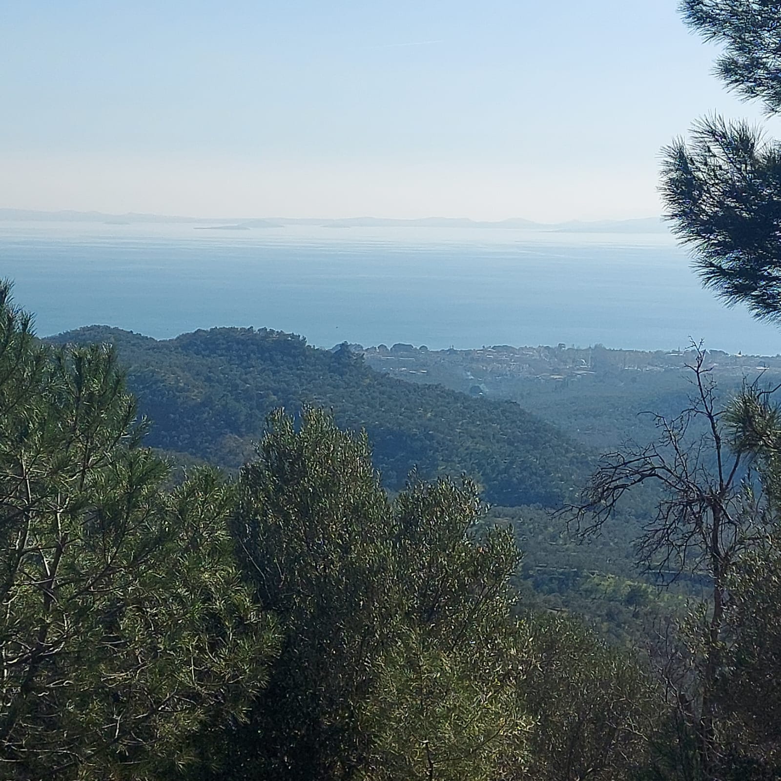 Fotoğraf